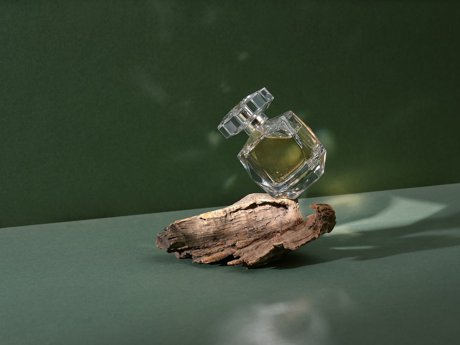 The Oud Journey: From Tree Bark to Fragrance Bottle